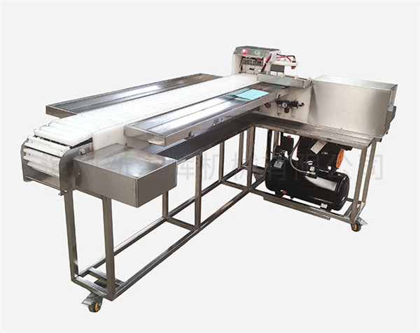 連(lian)續自(zi)動型(xing)穿串(chuan)機